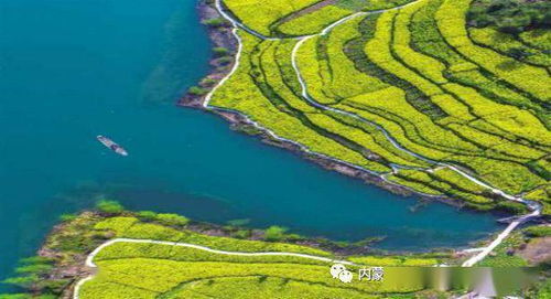 韭菜园2026天气预报