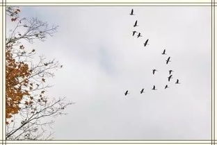 寒露节气的传统风俗：民俗文化的传承与发展