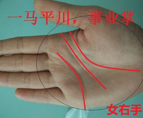 六、 耳朵形态作为福气指标之一