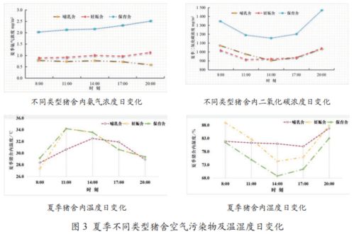2.2 腰直而厚型——福旺寿长之象征