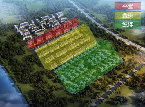 属鸡性格优点与1993年天秤座男性性格分析有何关联？