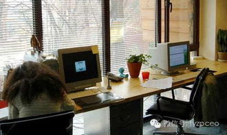 二、 办公室风水植物摆放之方位选择与禁忌要点