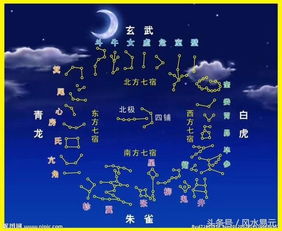 东方青龙七宿中的关键考察