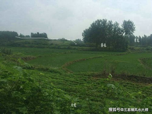 采光条件对居住者身心健康的决定性作用