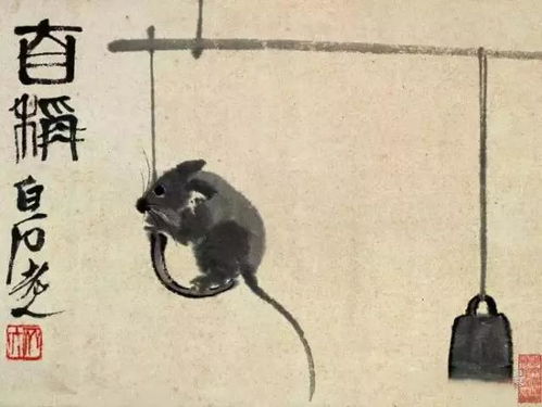 帝王之星：肖鼠年诞生的统治者