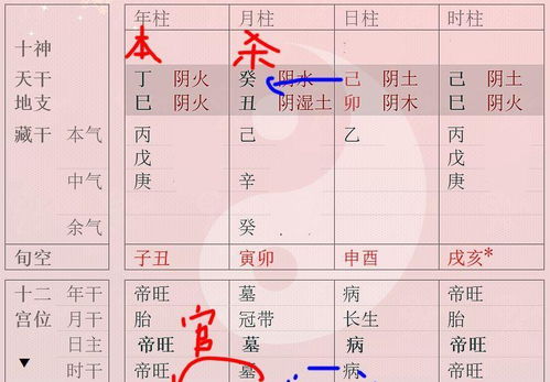 例一：某女命案例