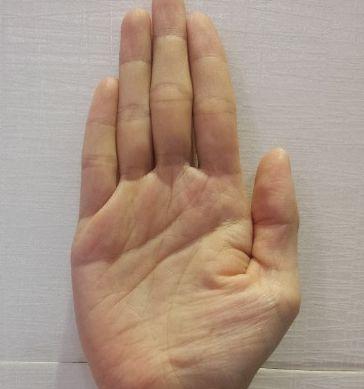 月丘饱满且出现米字纹：财运滚滚来