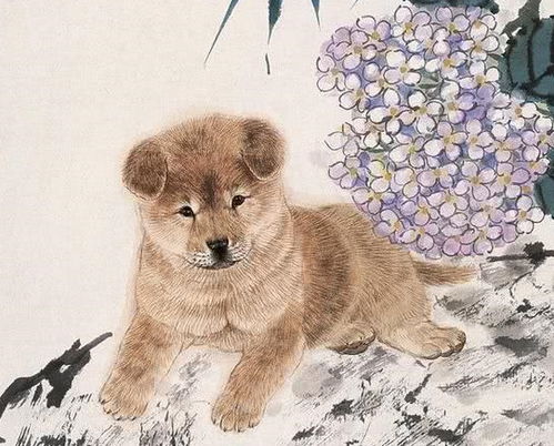 属狗人的恋爱迷惑行为大赏