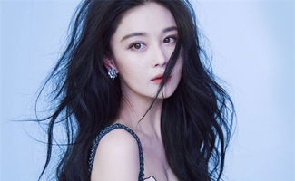 探究背景与目的