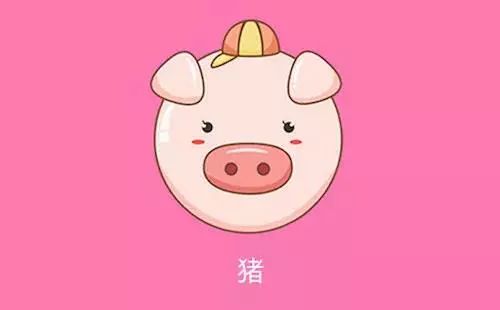 猴式炎热爱情：炎热忱与沟通鸿沟