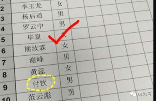 生肖文化整体概述及其对霸气网名的指导意义