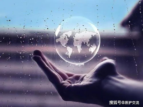 转角相遇：犬只与破陈旧木门之间的象征联结