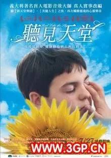 2. 生理学视角：大脑发育与感官体验