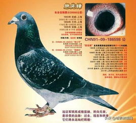 (二) 系统分类与命名：科属层级及其历史持续发展渊源