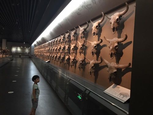 震惊！博物馆防震技术竟然如此不堪一击