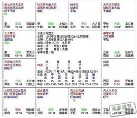 2. 身宫与运支的象征意义