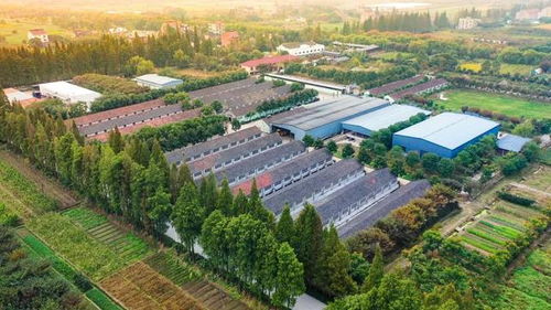 第七章：苏州博物馆——排队两小时参观五分钟