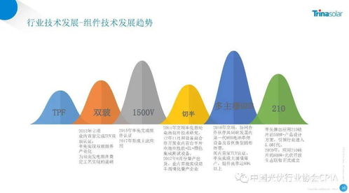 结合个人八字进行精细化选择