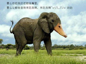 将诪张为幻，生肖猜测是哪种动物？