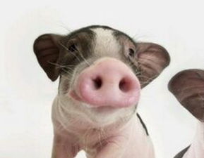 （一）正财收入之促进机制