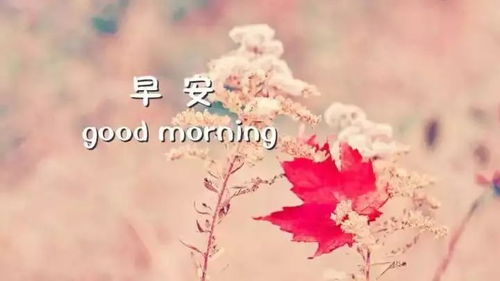 星座与生肖：平凡生命中的光芒