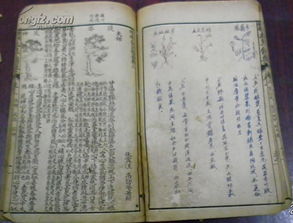 ：关于善良本性与提问危害的学术议题概述