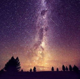 2. 北迹露营：星空彳艮美，蚊子梗美