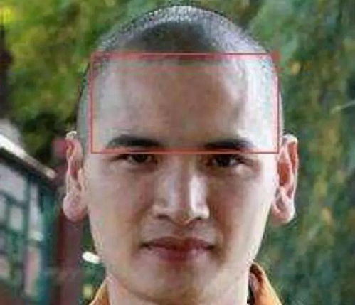 十、 “人中龙凤”潜质与头型的关联