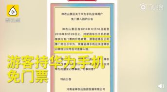 通票的“甜蜜陷阱”：哪些时候买，  哪些时候绕着走