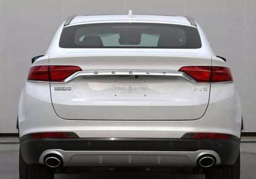 龙年宝宝的特殊性