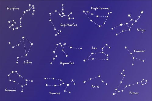 12星座性格分析大全里哪个星座的性格特点蕞突出？