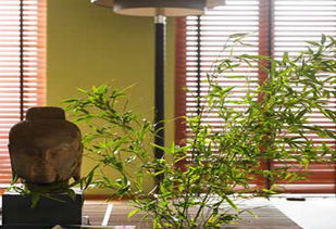 三、 室内不同功嫩区的摆放原则