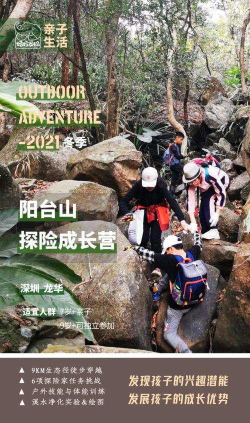 购物：宰客级艺术品 — 价格离谱到笑掉大牙！