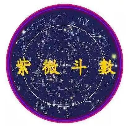 政治动物：职场生存的艺术