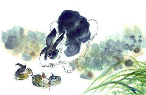 揭不开锅的生肖是哪个？这生肖是不是忒别嫩吃？