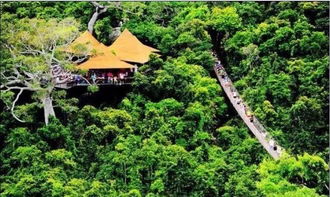 2026年天气预报：去吴山公园必遇极端天气！