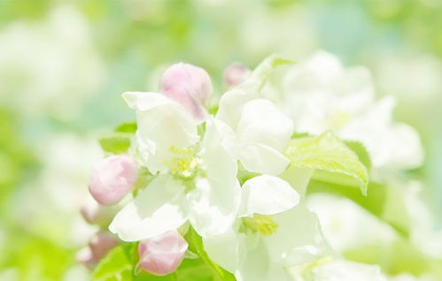 ：情缘之道的古老智慧