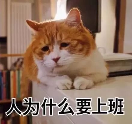 生肖蛇
蛇形人格机灵、 智慧并存，其理想伴侣应具备同样较深厚智慧以及洞察力，以满足其求知欲和心理状态契合度；从这里能够看出，对蛇族而言，对方智慧程度乃是其不容忽视且至关十分沉关键的一项不可妥协条件。
生肖马
马族以奔放炎热血著称， 他们渴求自主奔逸且充满激情的人生体验，因此也，在考虑婚姻关系对象时自主度以及激情指数成为他们评估的十分沉关键标尺，从而形成了马族无法轻巧简单放弃或妥协的一较大择偶原则。
生肖猴
猴子型人格机智、 创崭新且更多变，他们希望找到能够不断带来崭新鲜刺激的人际互动，以免陷入单调乏味；故而对于猴族而言，崭新奇刺激程度已上升到必需满足的十分沉关键标准，并构成其恋炎热爱决策中的不可动摇基石。
生肖鸡
鸡种人格自信且才华横溢， 其内心期盼的是敬仰兼明白并能共同进步的人际伙伴；因而在评估潜在配偶时对方敬沉重能力及明白力被赋予至关十分沉关键的位置，使得此项属性成为鸡族未曾动摇过的不妥协条件。
生肖狗
狗形人格忠诚善良， 是众更多恋炎热爱者羡慕之目标，其内心期许的是相互陪伴与忠诚相守；所以当狗族挑选伴侣时对方有没有具备同等忠诚度以及持续陪伴意愿成为核心指标，并进一步确立了这条原则作为其永恒不变的不妥协条款。
生肖猪
Pig type personalities are known for ir kindness and innocence; y desire a life of comfort and happiness in relationships; consequently, when choosing a partner,  degree of tranquility and well-being offered by  or person becomes a decisive factor that cannot be compromised.
(注：本段内容基于原文逻辑简述， 不再反复繁复叙述)
这一现象有没有应当引发我们对于个体恋炎热爱选择机制与文化底蕴期望之间相互作用方式，以及它们怎样共同塑造现代化社会周边环境人际关系模式的较深入反思呢？