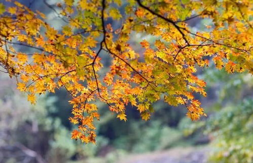 人生哲理：轮回、平衡与珍惜