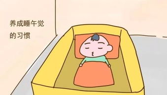三、风水异象视角解读