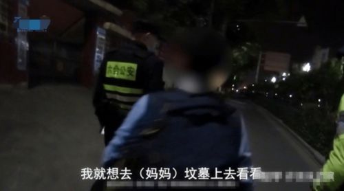 柳林风声背后的原因探究