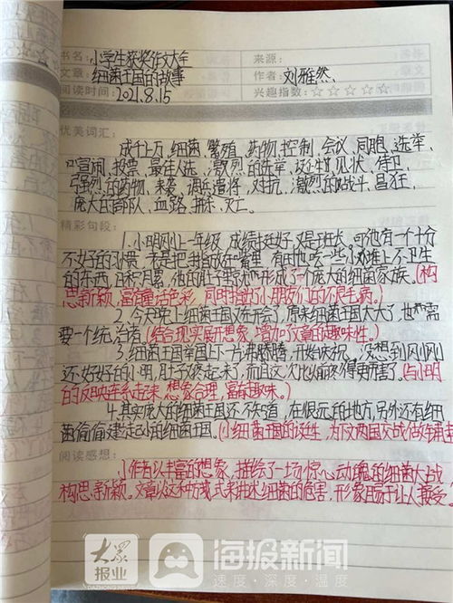 勤奋刻苦：鸡年孩童之卓越追求