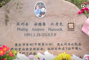 ‘虚度光年’和‘不远万里’分别指的是哪个生肖？