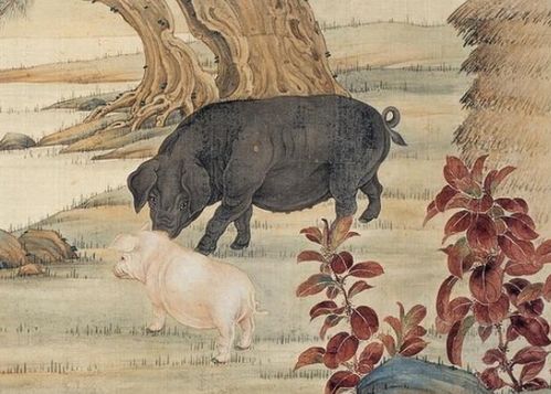 屬馬者：官祿宮旺， 白龍馬精神助騰飛