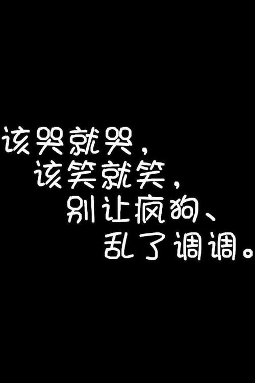 ：数字身份构建与传统玄学的深度融合