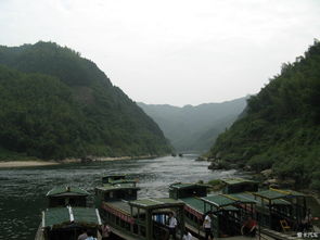沿途风景：椰林夹道？不存在的！