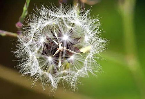 2.3 情感纠葛与浪漫氛围