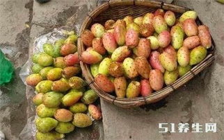 枣子？这也太土了吧