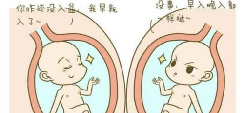 其他需要关注的细节