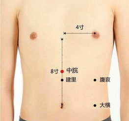 2. 消化功能障碍与代谢异常